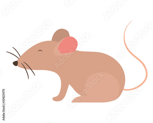 Isolated mouse cartoon vector design