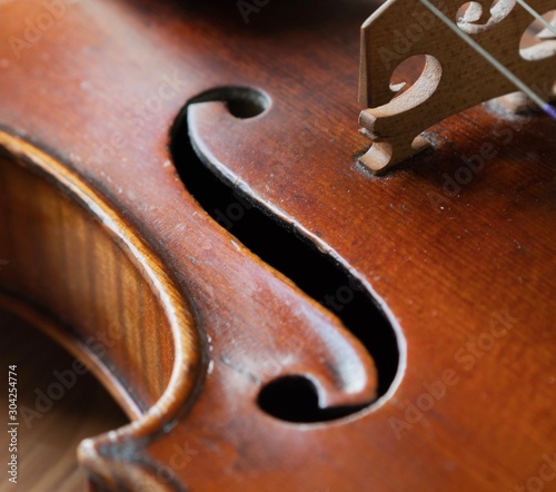 body of violin