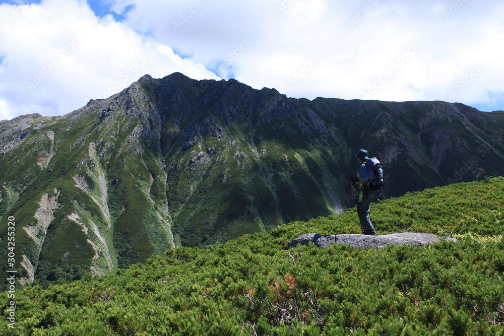 Fototapeta premium 水晶岳と登山者