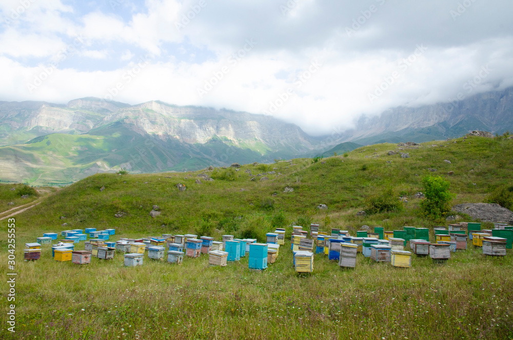 Bee apiary on the background of a beautiful mountain landscape and Alpine meadows
