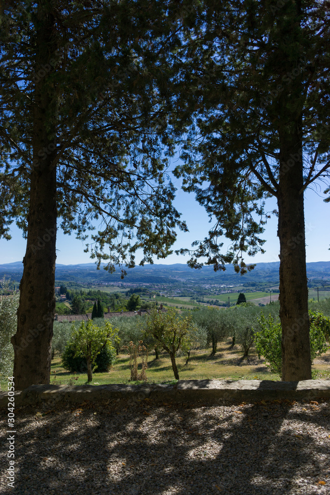Two trees framing a view of the Tuscan countryside