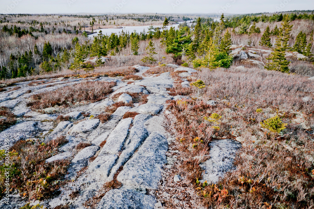 Barren winter landscape in scrubland. Barren winter landscape in scrubland.