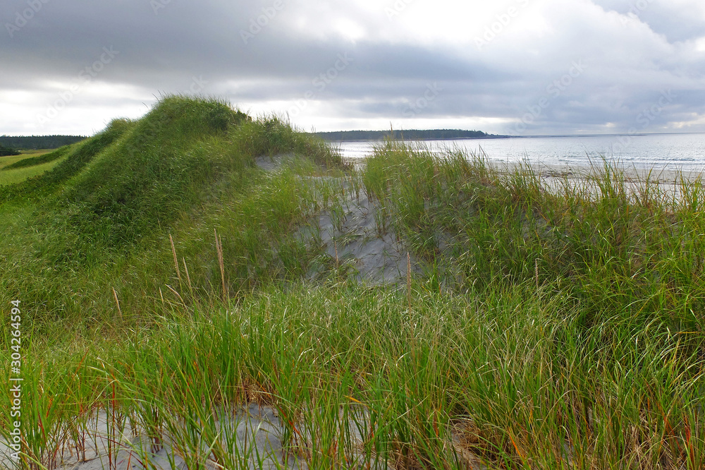 Green grassy dunes along the beaches of Nova Scotia.