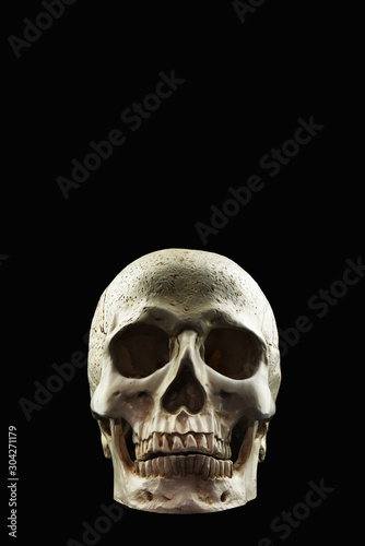human skull isolated on black background with clipping path