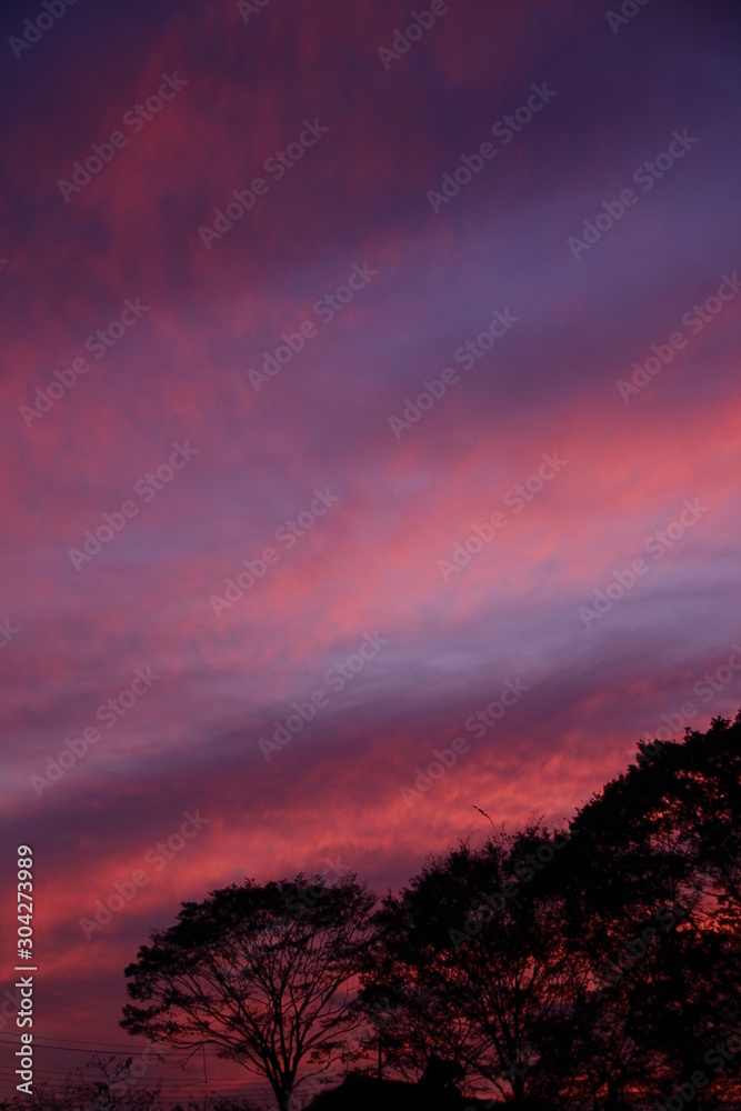 Fototapeta premium 夕焼け空