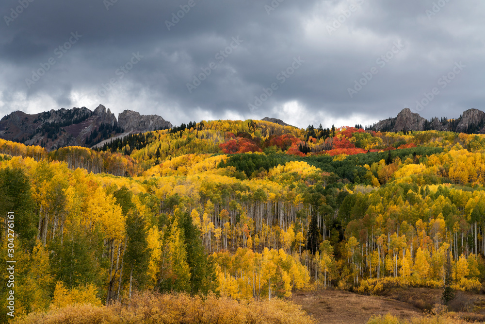 Autumn Aspen Color