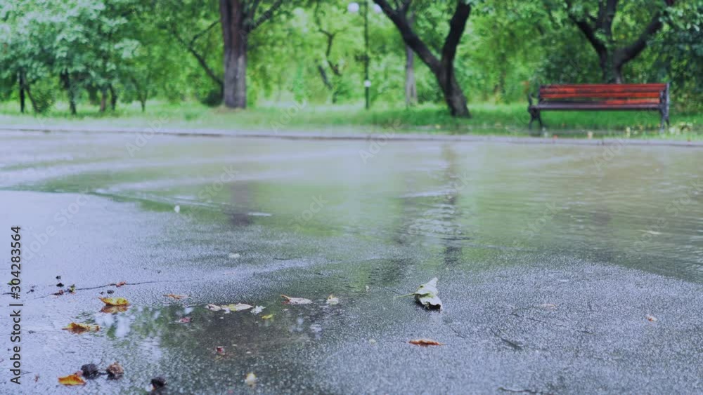 Rain In The Green Street