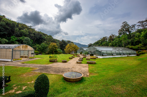 Queen Sirikit Botanical Garden- Chiang Mai:19September2019, atmosphere in the nursery of various garden plants(winter flowers Located Mae Rim District,a conservation and tourist attraction,Thailand