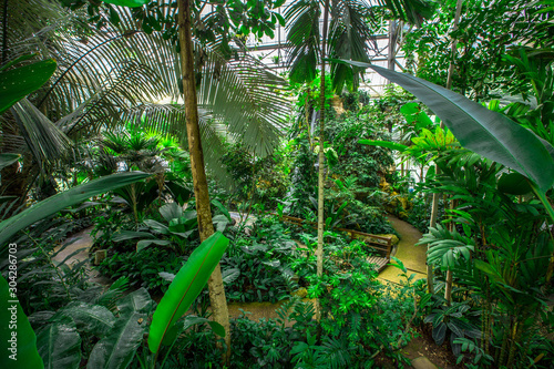 Queen Sirikit Botanical Garden- Chiang Mai:19September2019, atmosphere in the nursery of various garden plants(winter flowers Located Mae Rim District,a conservation and tourist attraction,Thailand