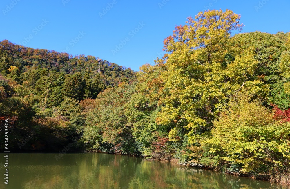 空 秋 風景 山 杤木 空 秋 風景 山 杤木