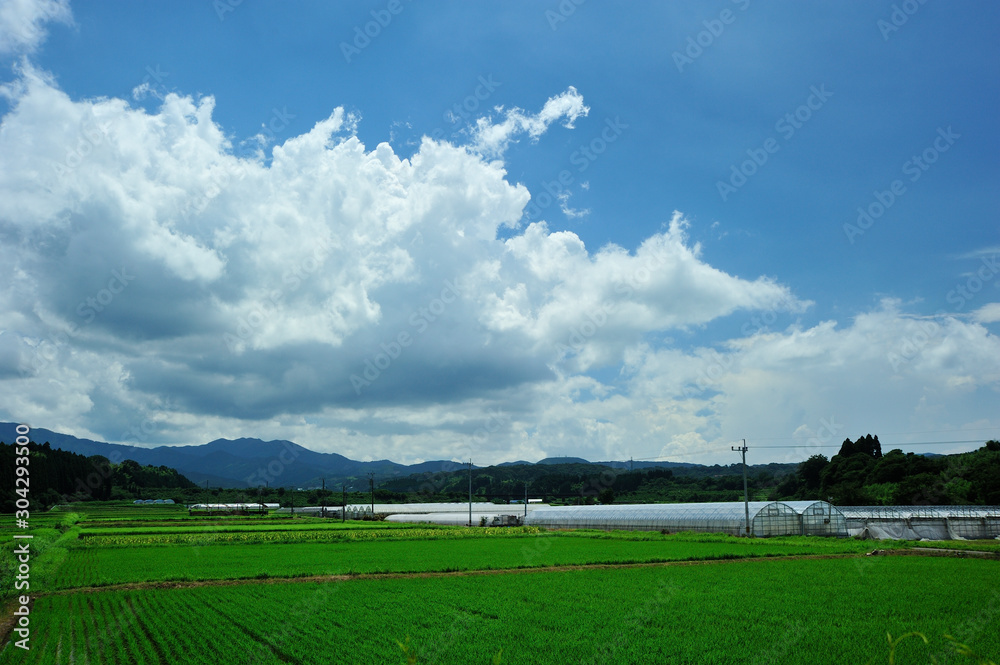 Obraz premium 夏の雲