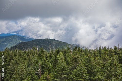 View from Clingmans Dome Observation Tower