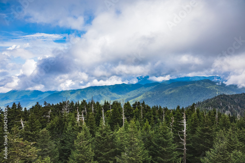 View from Clingmans Dome Observation Tower