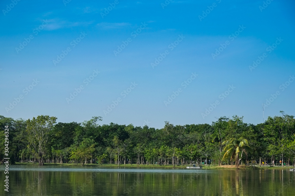 Scenic view of a park in the city with a pond, green tree and blue sky, calm and relax. Trees  and sky reflecting in water
