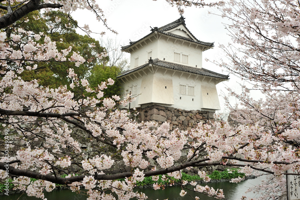 大分城の桜