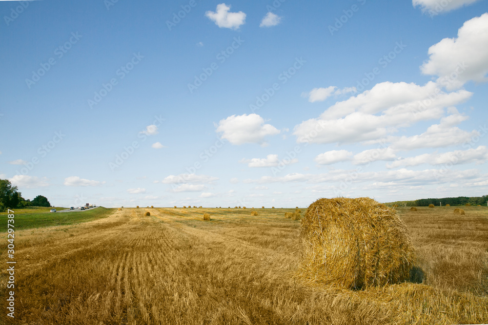 Round straw bales in russian fields on sunset