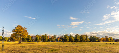 Wimbledon Common