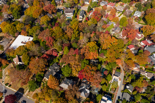 Aerial picture of houses in Midtown Atlanta during the fall