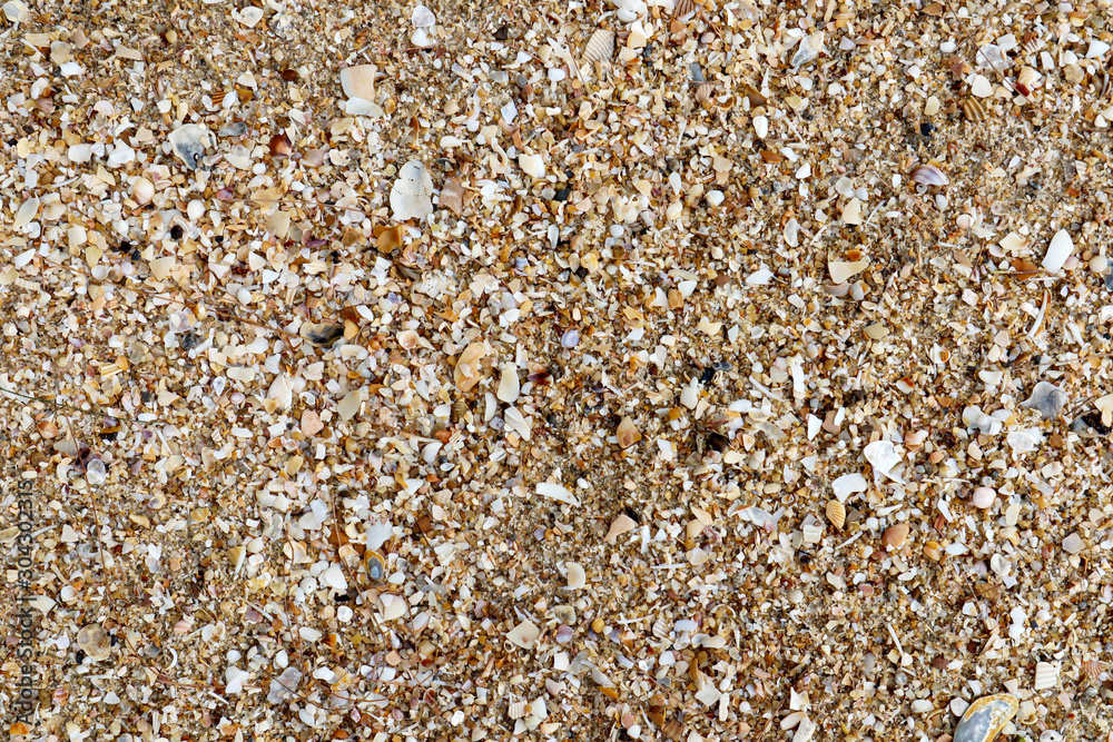 Sand with sea shells on beach for backgroung. Sand with sea shells on beach for backgroung.