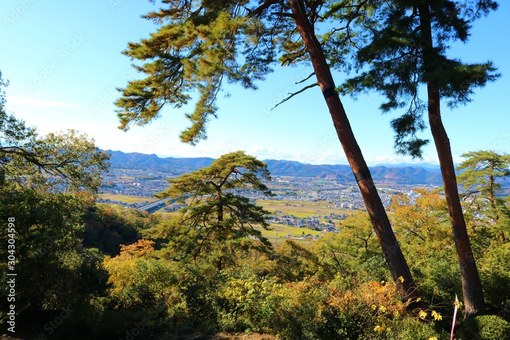 秋　風景　山　杤木