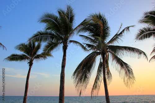 Palm tree silhouette on the tropical sunset ,For background.