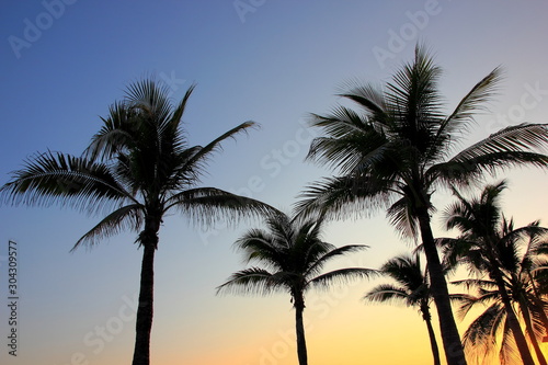 Palm tree silhouette on the tropical sunset ,For background.