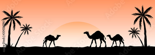Foto Silhouette of camel caravan going through the desert