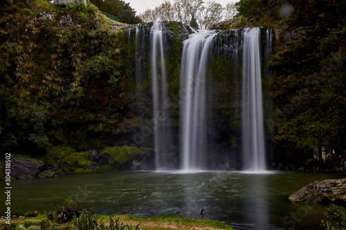 Scenes from Whangarei, north of Auckland including the waterfall.
