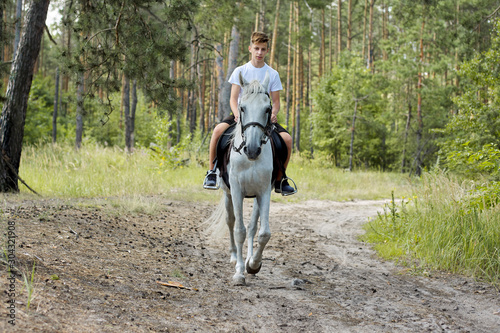 Horse walks, teenager boy riding white horse in summer forest