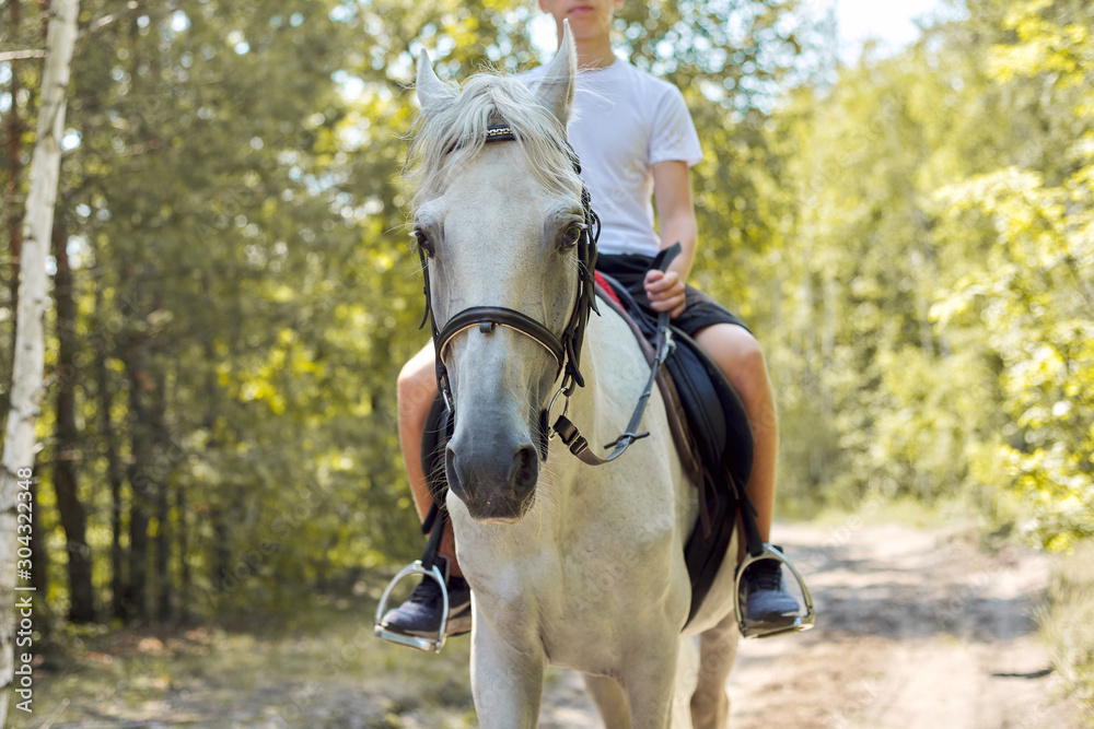 Close up of white horse running with teenage rider boy Close up of white horse running with teenage rider boy
