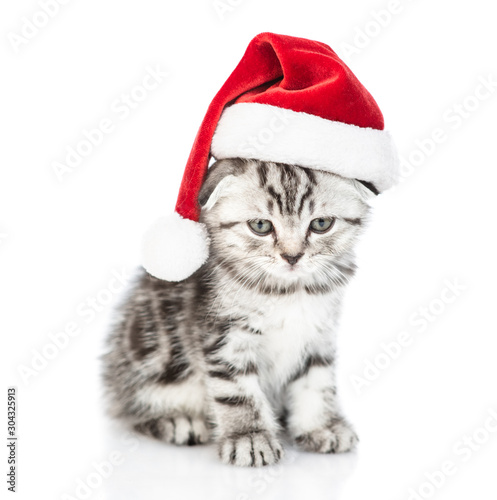 Tabby cat wearing a red christmas hat looks at camera. isolated on white background