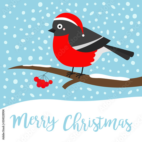 Merry Christmas. Bullfinch winter bird on rowan rowanberry sorb berry tree branch. Red Santa Claus hat. Cute cartoon baby character. Happy New Year. Flat design. Blue snow flake background.