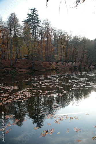 Fototapeta Naklejka Na Ścianę i Meble -  Autumn landscape in (seven lakes) Yedigoller Park Bolu, Turkey