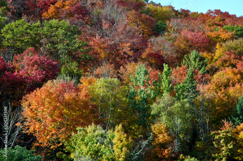 fall colors of autumn