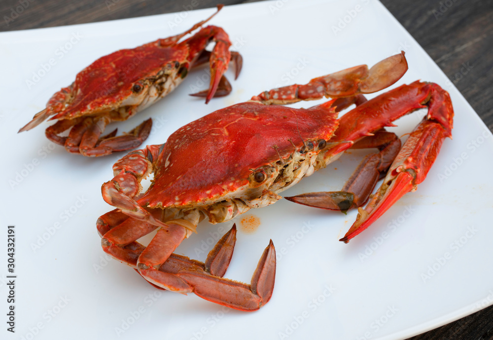 Sea food - boiled red crab on a white background