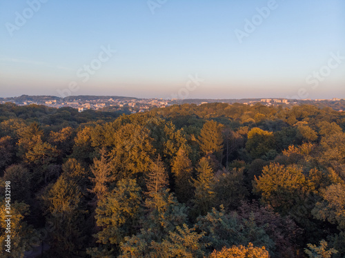 aerial view of autumn city park on sunset