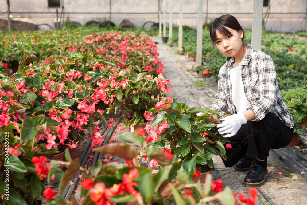 Cheerful chinese woman florist holding potted flowers begonia