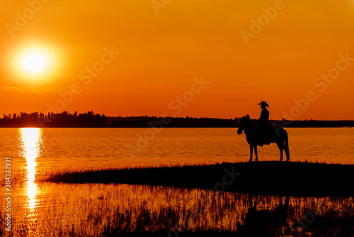 silhouette cowboy on horseback © rakT