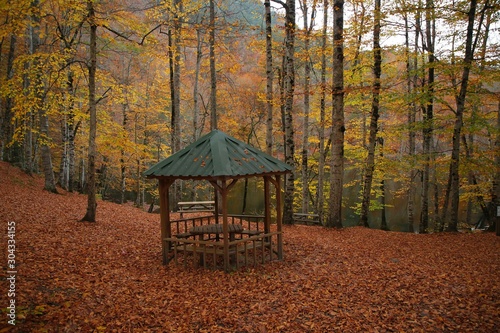 Lake Abant in the province of Bolu-Turkey. 