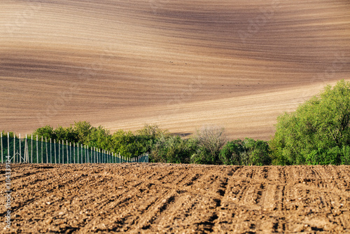 Obraz na płótnie field 4 w salonie