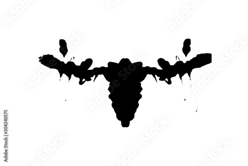 Rorschach inkblot test illustration, random symmetrical ink abstract ink stains.