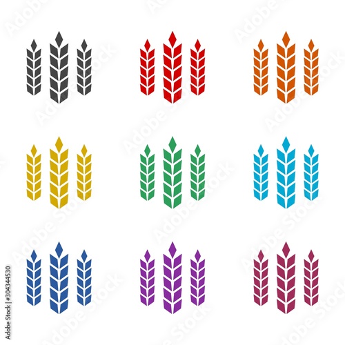 Ears of wheat bread symbols set isolated on white background