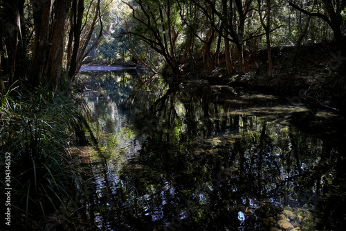 River setting at Belegim, New South Wales, Australia.