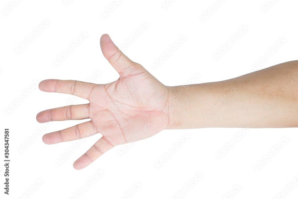 Hand and arm asian man or caucasian hand gestures hold or catching something empty or Hand signal isolated on white background Hand and arm asian man or caucasian hand gestures hold or catching something empty or Hand signal isolated on white background