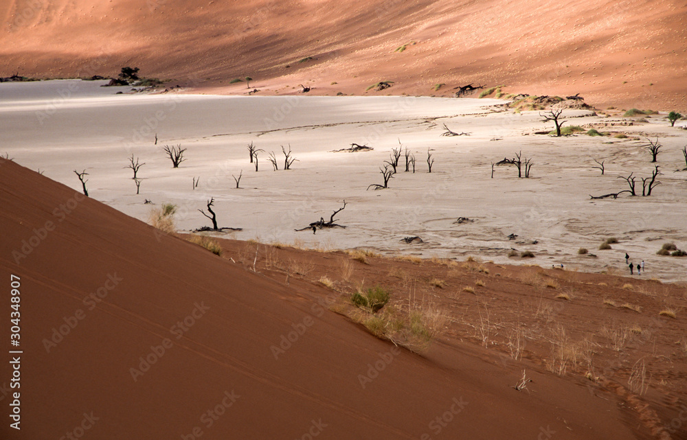 Wüstenlandschaft in Namibia mit vertrockneten Bäumen in einer Salzpfenne Wüstenlandschaft in Namibia mit vertrockneten Bäumen in einer Salzpfenne