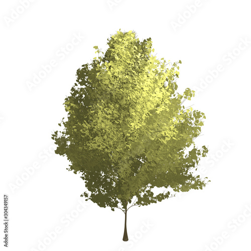Short ginko tree graphic picture. Three-dimensional light and shadow design. For decorating the garden and forest.