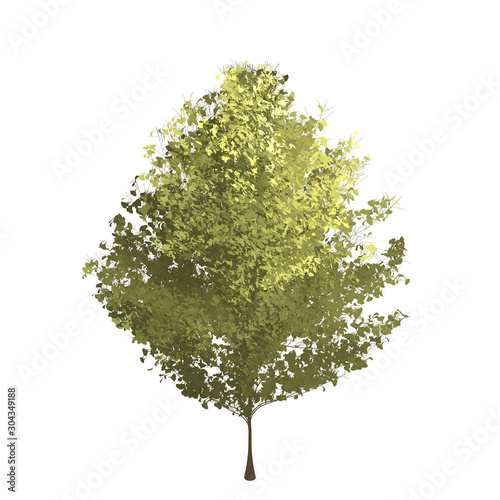 Short ginko tree graphic picture. Three-dimensional light and shadow design. For decorating the garden and forest.