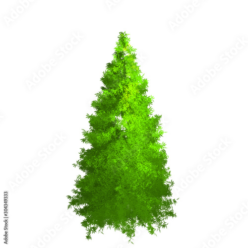 Pine tree without branches. For Christmas tree prototype before decoration.