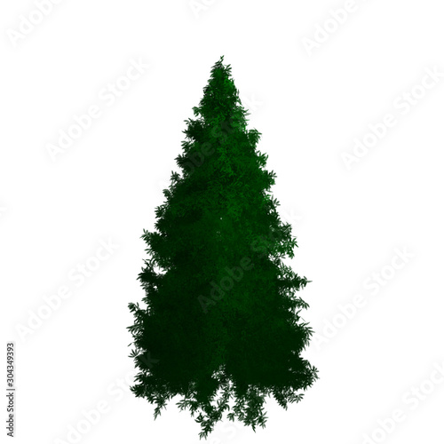 Pine tree without branches. For Christmas tree prototype before decoration.