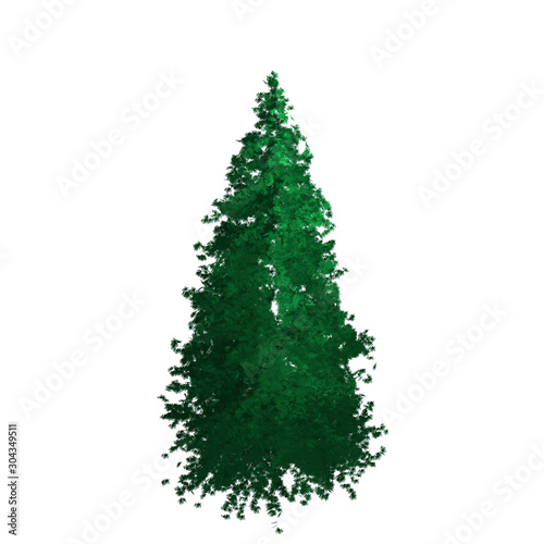 Pine tree without branches. For Christmas tree prototype before decoration.